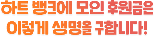 하트 뱅크에 모인 후원금은 이렇게 생명을 구원합니다.