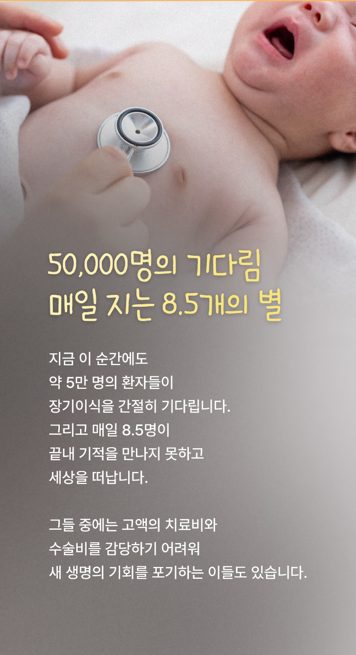 50,000명의 기다림 매일지는 8.5개의 별